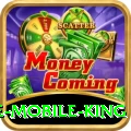 PakGame Mobile King