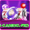 Winli Slots - Gaming Pro